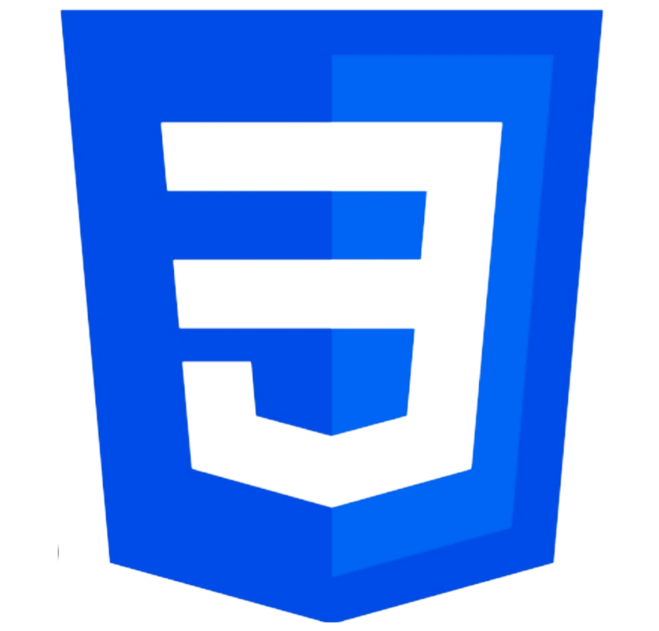 CSS Logo